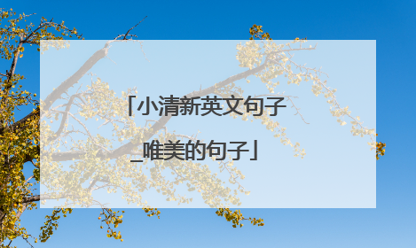 小清新英文句子_唯美的句子