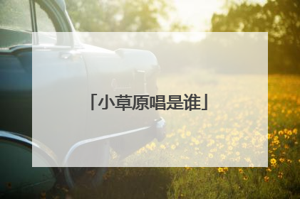 小草原唱是谁