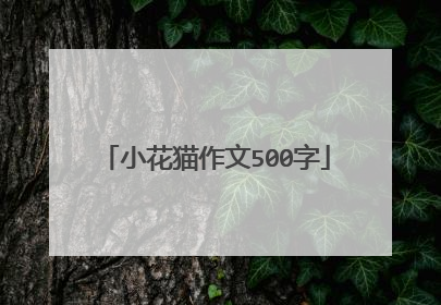 小花猫作文500字