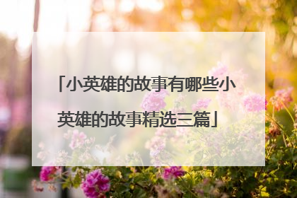 小英雄的故事有哪些小英雄的故事精选三篇