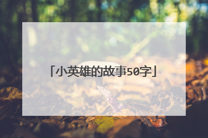 小英雄的故事50字