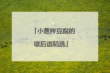 小葱拌豆腐的歇后语精选
