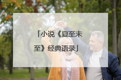 小说《夏至未至》经典语录