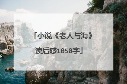 小说《老人与海》读后感1050字