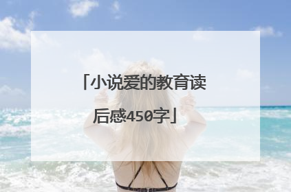 小说爱的教育读后感450字