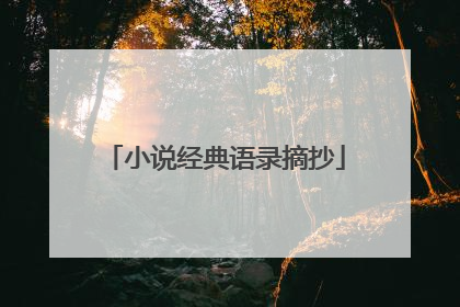 小说经典语录摘抄