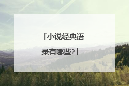 小说经典语录有哪些?
