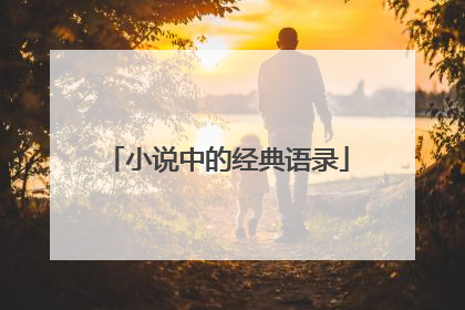 小说中的经典语录