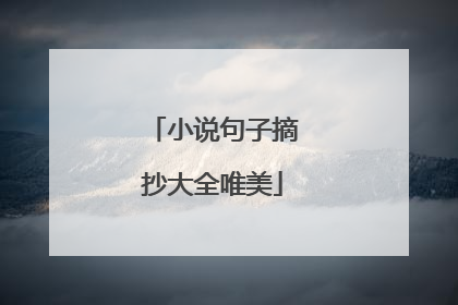 小说句子摘抄大全唯美