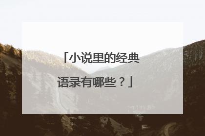 小说里的经典语录有哪些？