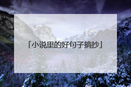 小说里的好句子摘抄