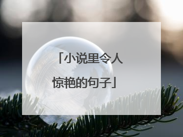 小说里令人惊艳的句子