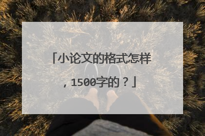 小论文的格式怎样，1500字的？