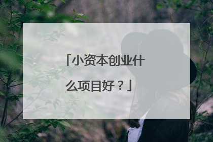 小资本创业什么项目好?