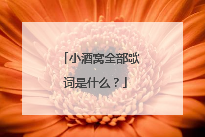 小酒窝全部歌词是什么？