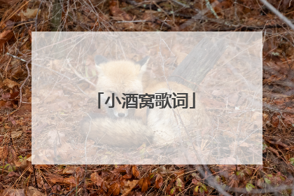 小酒窝歌词