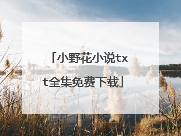 小野花小说txt全集免费下载