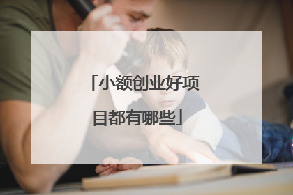 小额创业好项目都有哪些