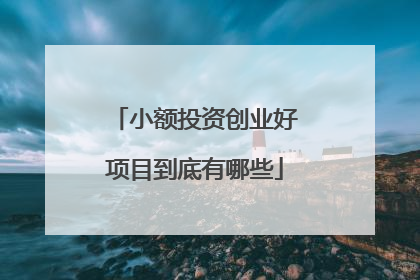 小额投资创业好项目到底有哪些