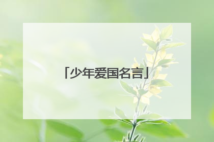 少年爱国名言