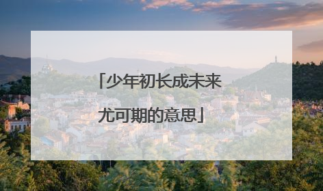 少年初长成未来尤可期的意思