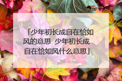 少年初长成自在恰如风的意思 少年初长成自在恰如风什么意思