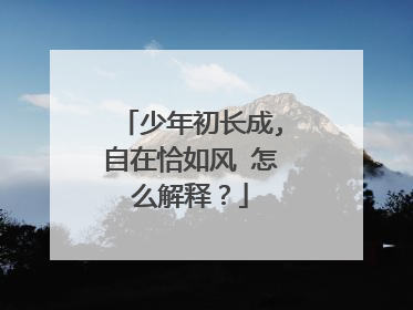少年初长成,自在恰如风 怎么解释？