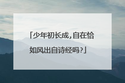 少年初长成,自在恰如风出自诗经吗?