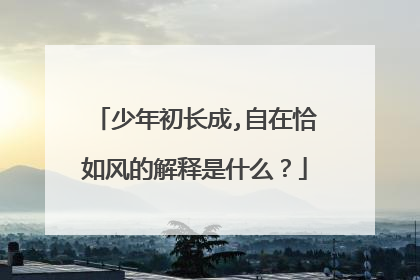 少年初长成,自在恰如风的解释是什么?