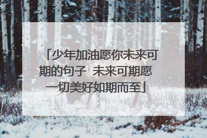 少年加油愿你未来可期的句子 未来可期愿一切美好如期而至