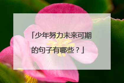 少年努力未来可期的句子有哪些?