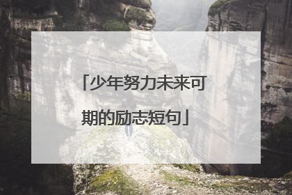 少年努力未来可期的励志短句