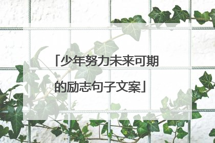 少年努力未来可期的励志句子文案