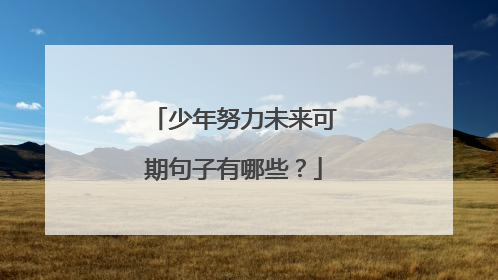 少年努力未来可期句子有哪些?