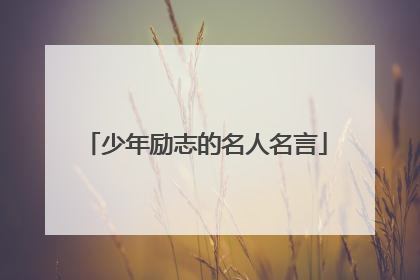 少年励志的名人名言