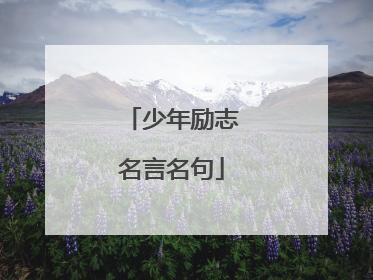 少年励志名言名句