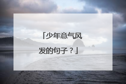 少年意气风发的句子？