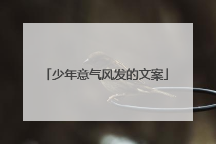 少年意气风发的文案