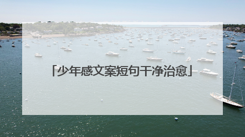 少年感文案短句干净治愈