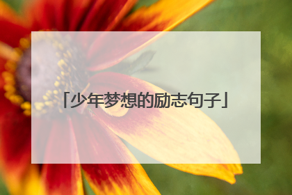 少年梦想的励志句子