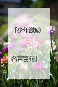 少年激励名言警句