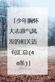 少年胸怀大志意气风发的相关语句汇总(40条)