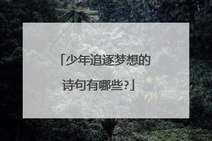 少年追逐梦想的诗句有哪些?