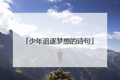 少年追逐梦想的诗句