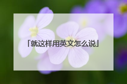 就这样用英文怎么说