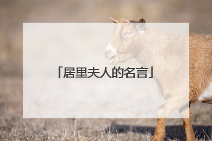 居里夫人的名言