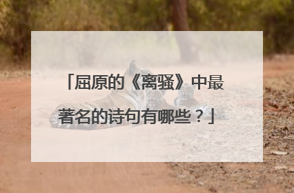 屈原的《离骚》中最著名的诗句有哪些?