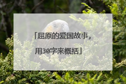 屈原的爱国故事,用30字来概括