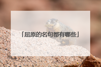 屈原的名句都有哪些