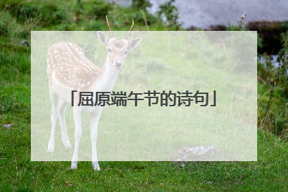 屈原端午节的诗句